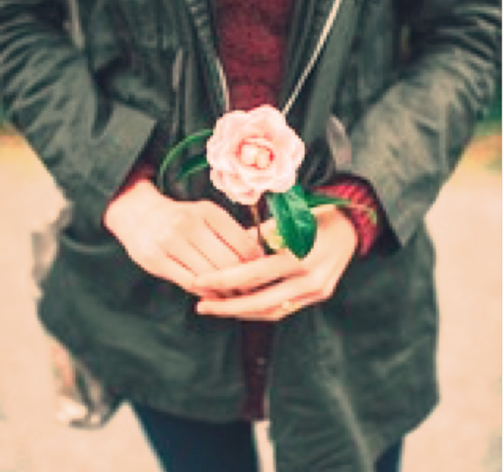 Person holding a rose